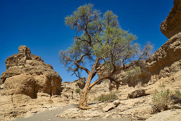 Sesriem canyon