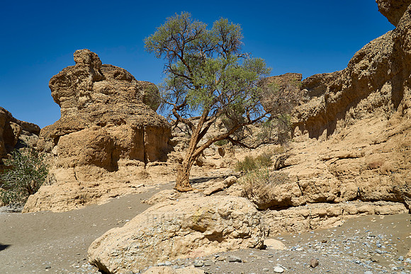 Sesriem canyon
