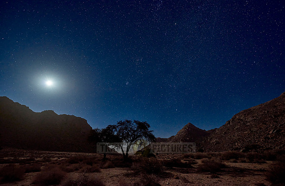 night shot with milky way and tree in desert landscape of Geisterschlucht