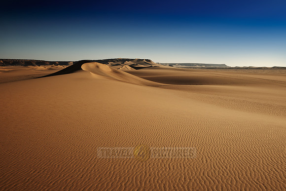 desert landscape with sand dunes