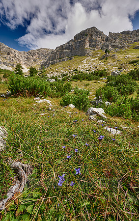 Langental