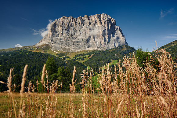 Langkofel - Saslonch