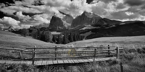 Alpe di Siusi with view on Plattkofel