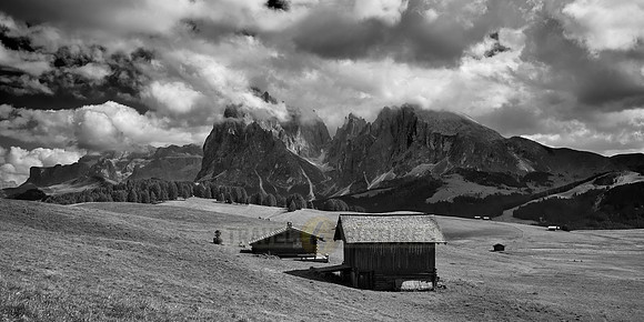Alpe di Siusi with view on Plattkofel