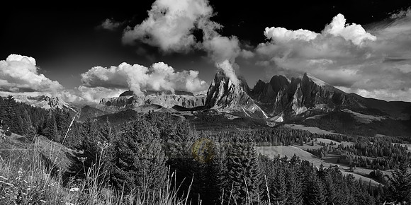Alpe di Siusi with view on Plattkofel