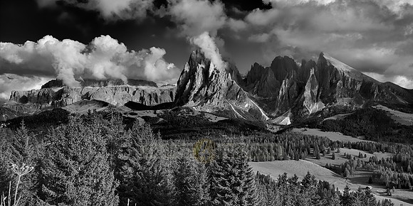Alpe di Siusi with view on Plattkofel