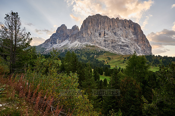 Langkofel - Saslonch