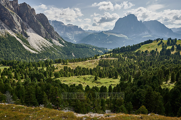 Langkofel seen from the Col Raiser