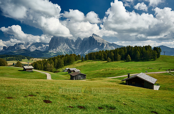 Alpe di Siusi with view on Plattkofel, Langkofel and Sella group