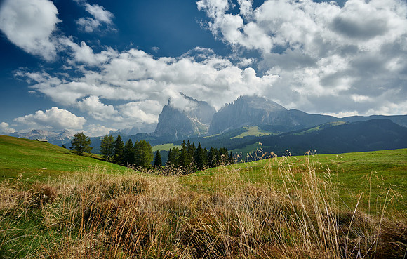 Alpe di Siusi with view on Plattkofel, Langkofel and Sella group
