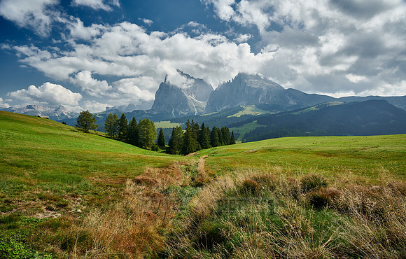 Alpe di Siusi with view on Plattkofel, Langkofel and Sella group