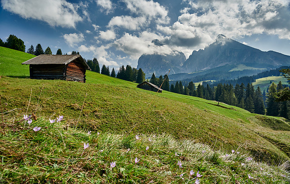 Alpe di Siusi with view on Plattkofel and Langkofel