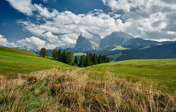 Alpe di Siusi with view on Plattkofel, Langkofel and Sella group