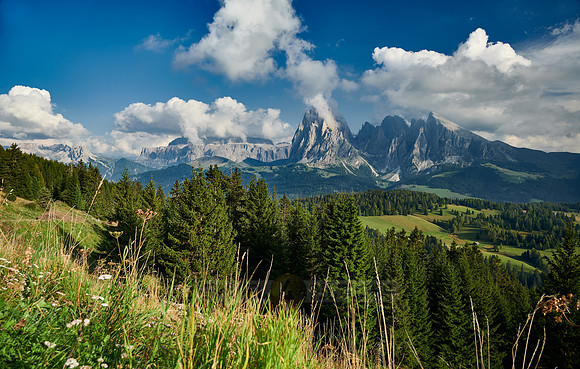 Alpe di Siusi with view on Plattkofel, Langkofel and Sella group