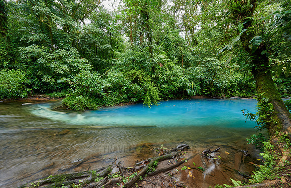 the confluence of two rivers the blue river Rio Celeste is formed