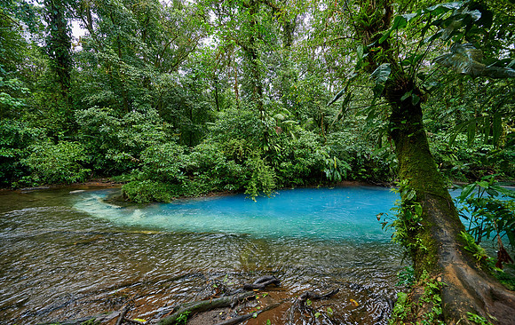the confluence of two rivers the blue river Rio Celeste is formed