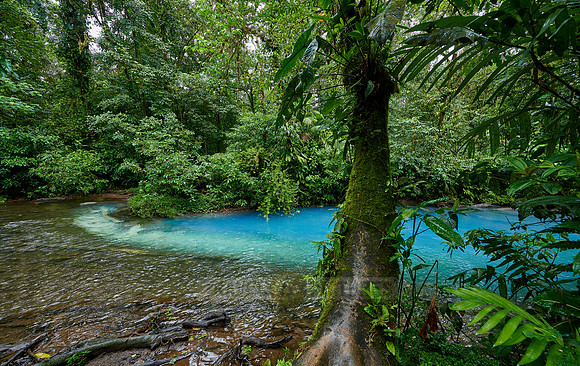 the confluence of two rivers the blue river Rio Celeste is formed