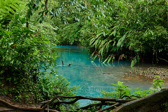 blue river Rio Celeste