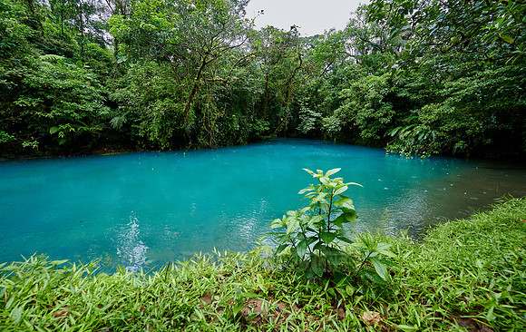 lagoon at blue river Rio Celeste