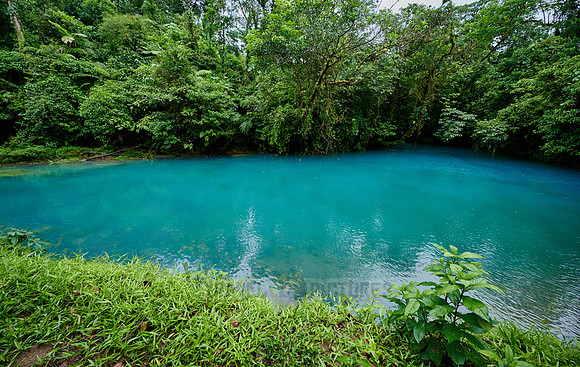 lagoon at blue river Rio Celeste