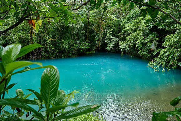 lagoon at blue river Rio Celeste