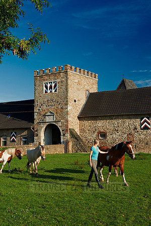 young lady with horses in front of Holzheim castle