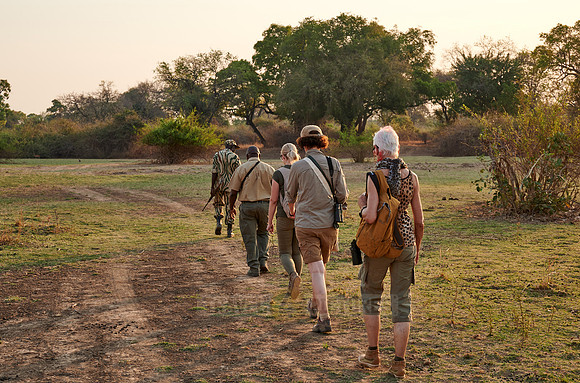 group of tourists on walking safari in South Luangwa National Park