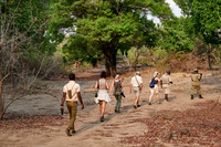 group of tourists on walking safari in South Luangwa National Park