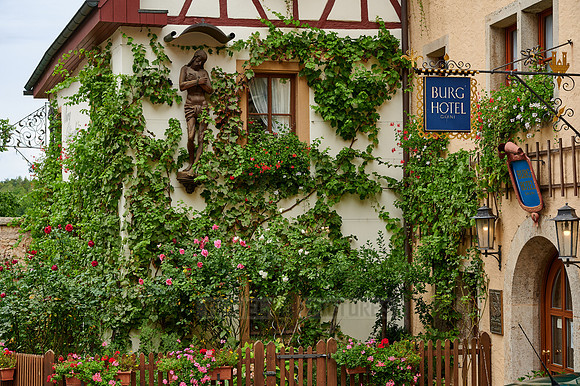 Facade of the castle hotel overgrown with plants