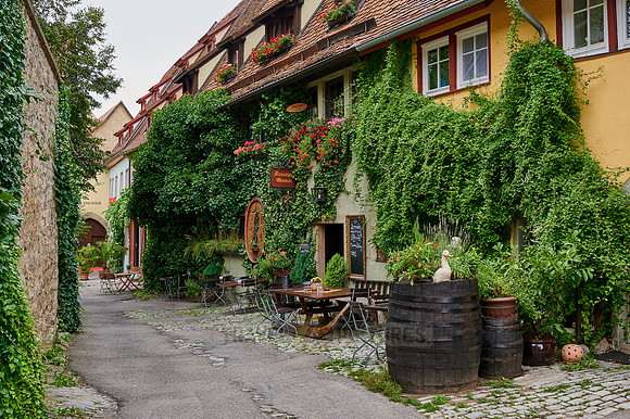 Facade of a wine bar in the old town of Rothenburg ob der Tauber, heavily overgrown with plants