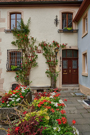 flowered facade in the old town of Rothenburg ob der Tauber