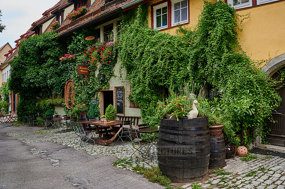Facade of a wine bar in the old town of Rothenburg ob der Tauber, heavily overgrown with plants