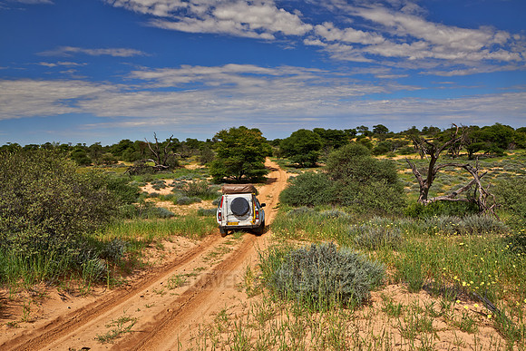 4x4 car in Mabuasehube