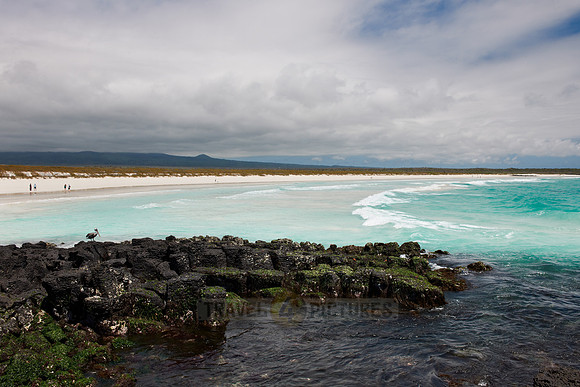 Tortuga Bay