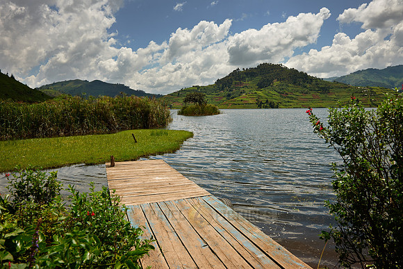 landscape with lake