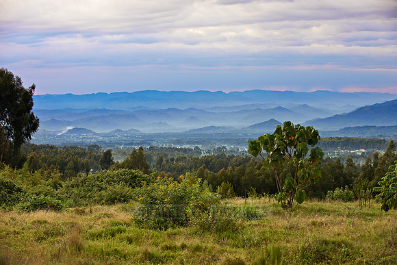 landscape near Musanze