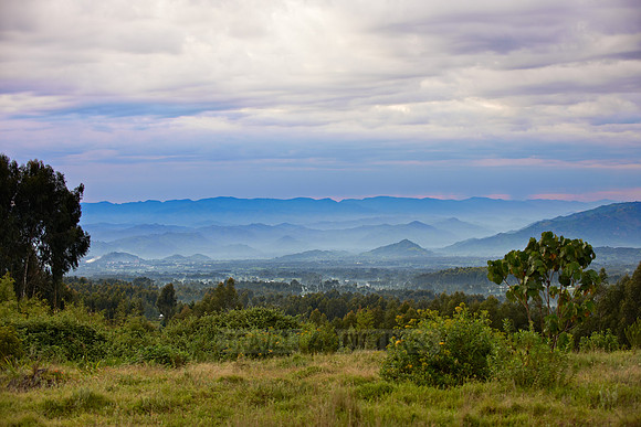 landscape near Musanze