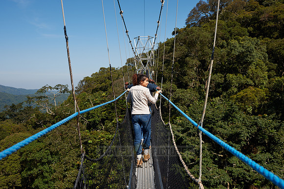 suspension bridge in Nyungwe Forest