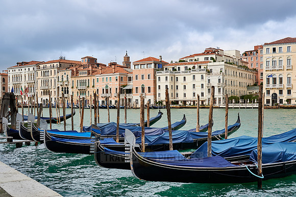 cityscape of Venice with gondolas and Canale Grande