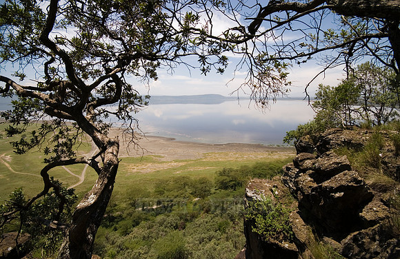 landscape and view on lake Nakuru