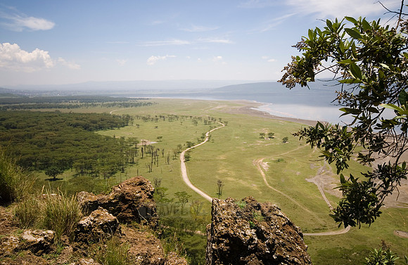 landscape and view on lake Nakuru