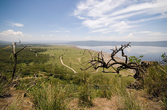 landscape and view on lake Nakuru