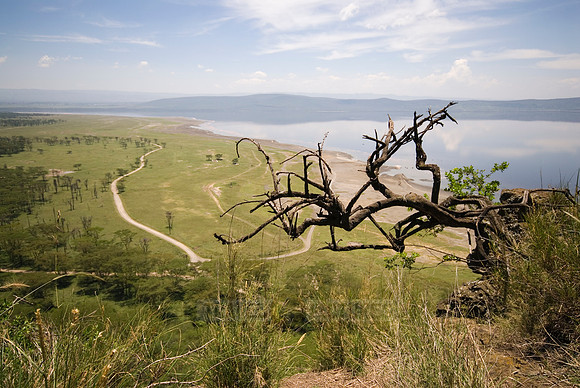 landscape and view on lake Nakuru