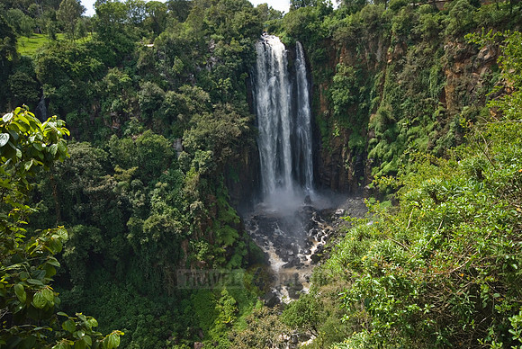Thompson's Falls