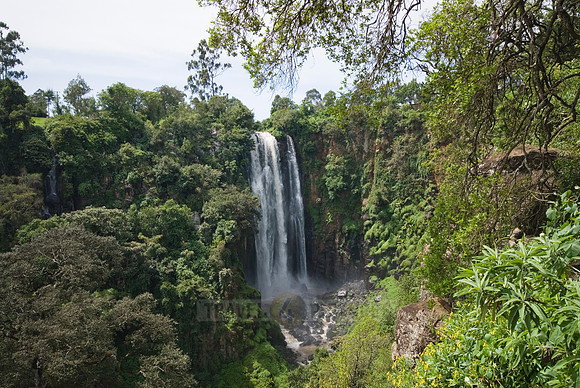 Thompson's Falls