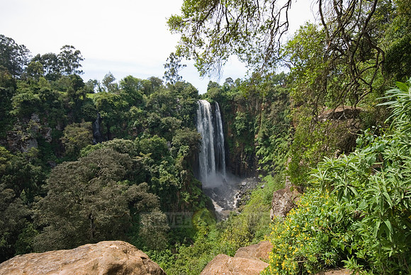 Thompson's Falls