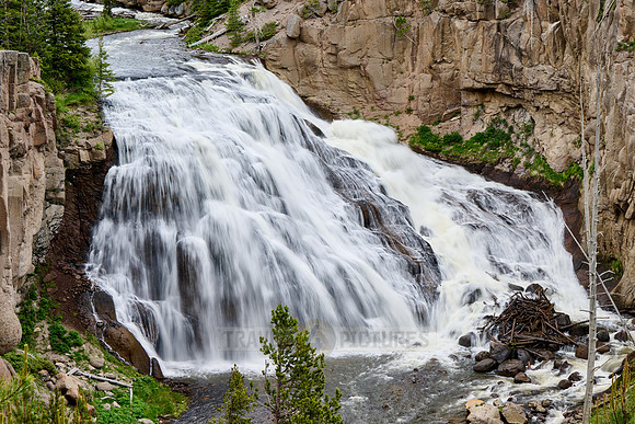 Gibbon Falls, Yellowstone National Park