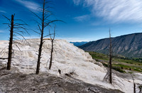 Canary Spring, Mammoth Hot Springs, Yellowstone National Park