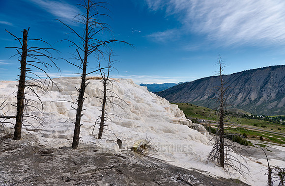 Canary Spring, Mammoth Hot Springs, Yellowstone National Park