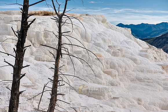 Canary Spring, Mammoth Hot Springs, Yellowstone National Park